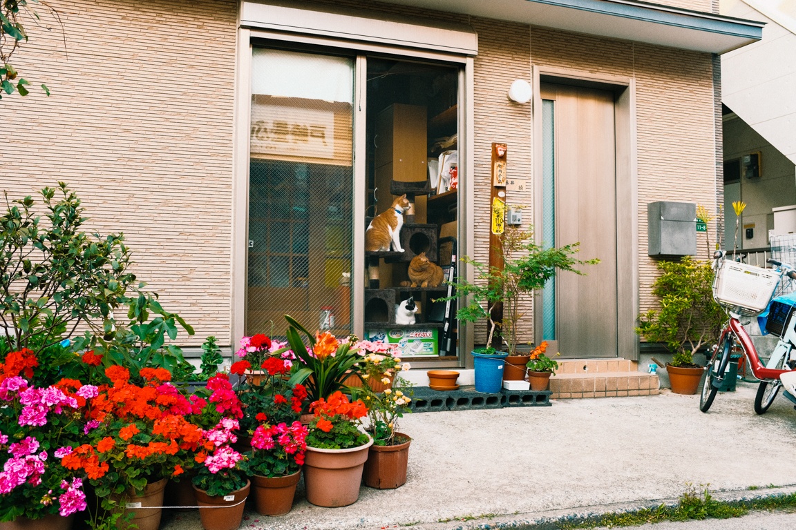 cuoc song Nhat Ban anh 11