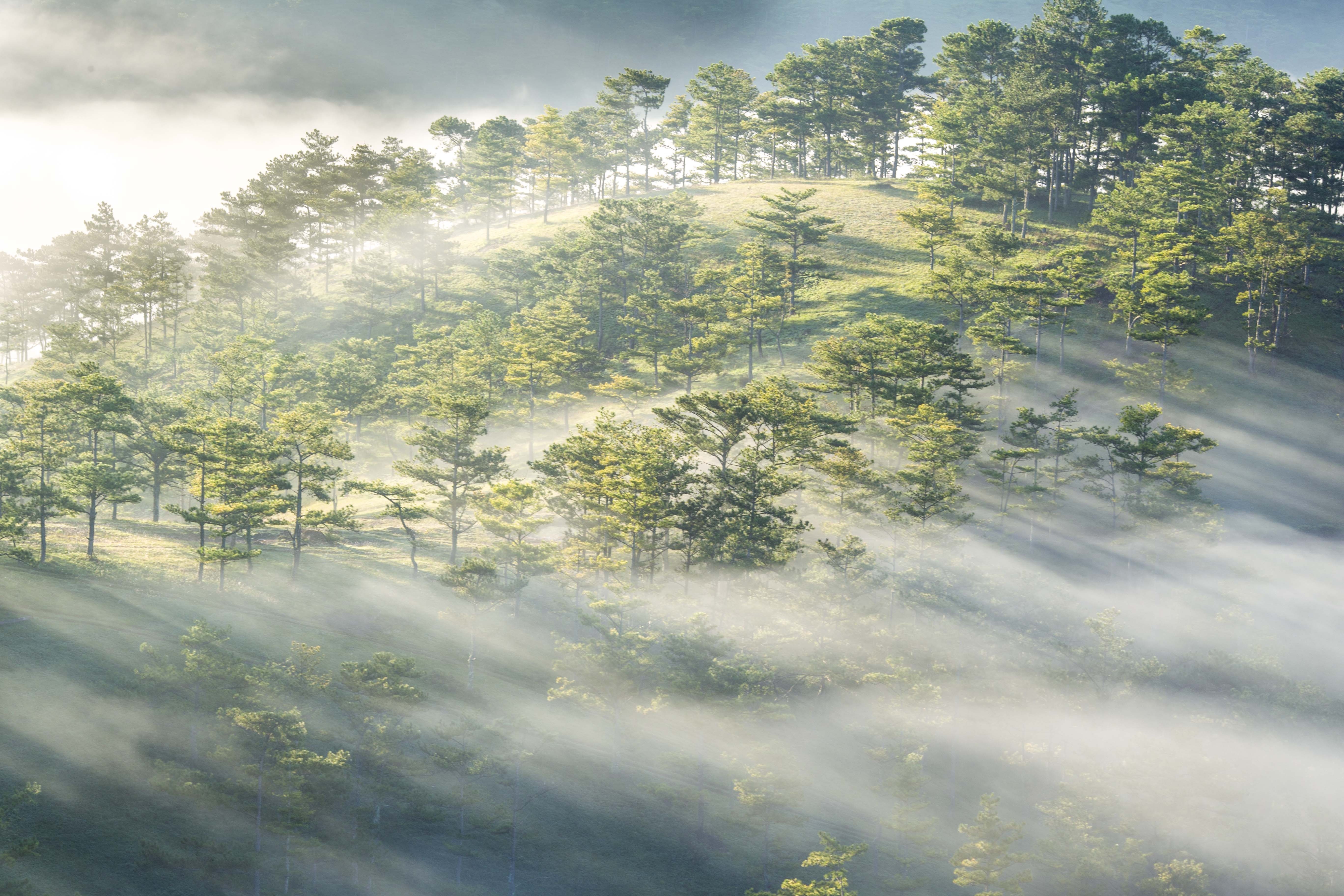 Da Lat mo suong anh 14