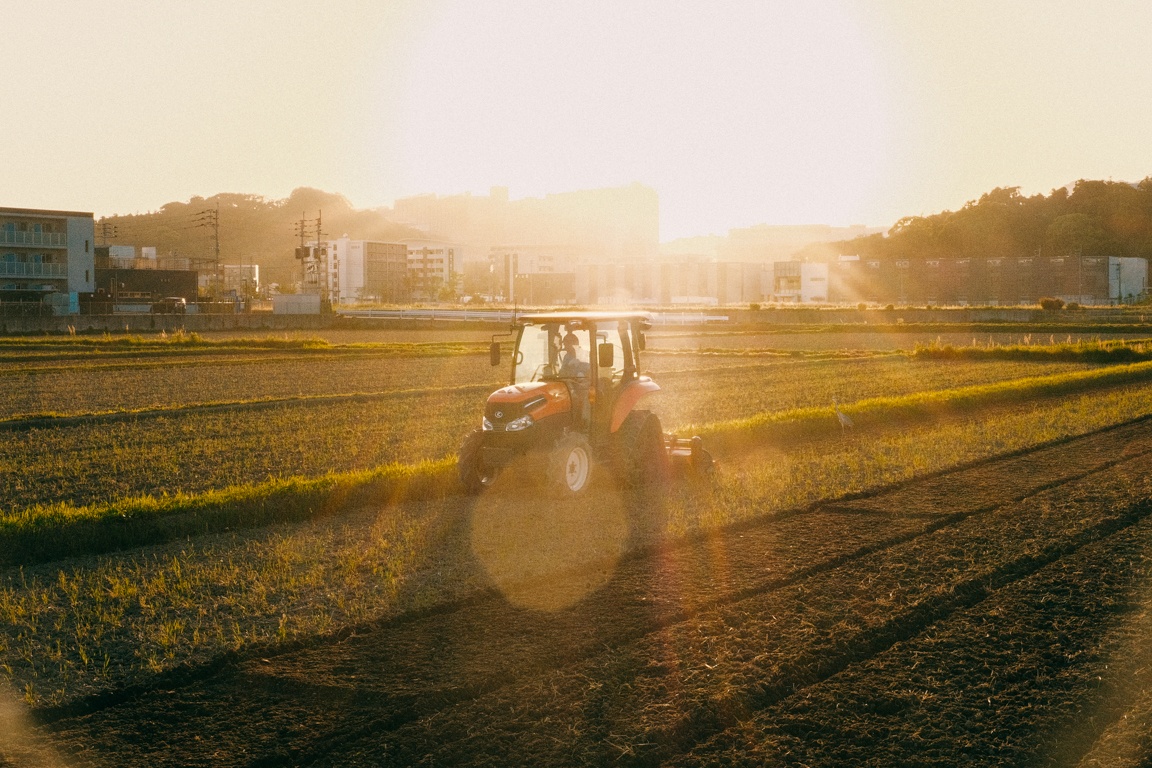 dong que Nhat Ban anh 8