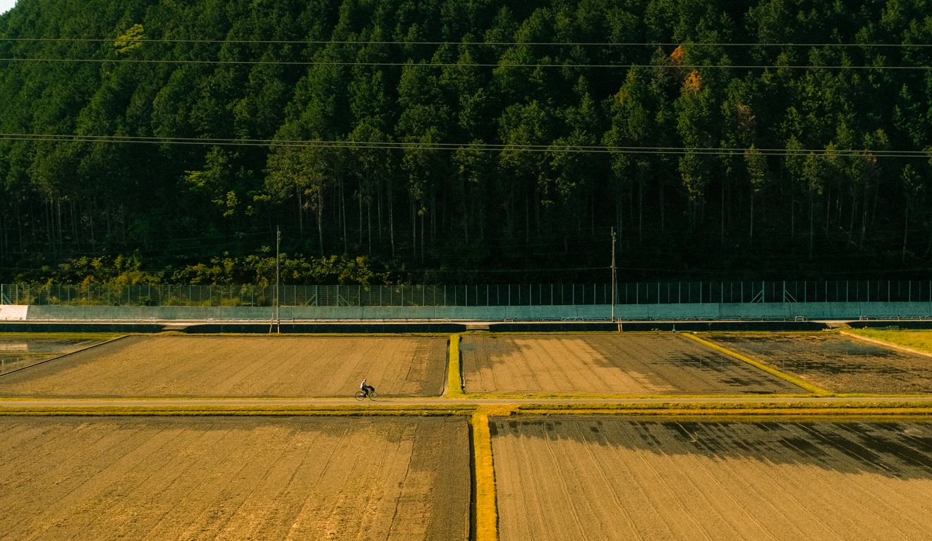 dong que Nhat Ban anh 11