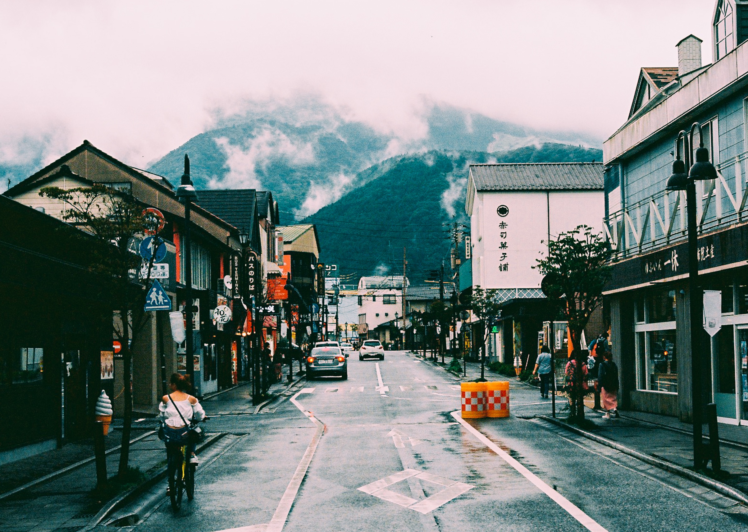 dong que Nhat Ban anh 40