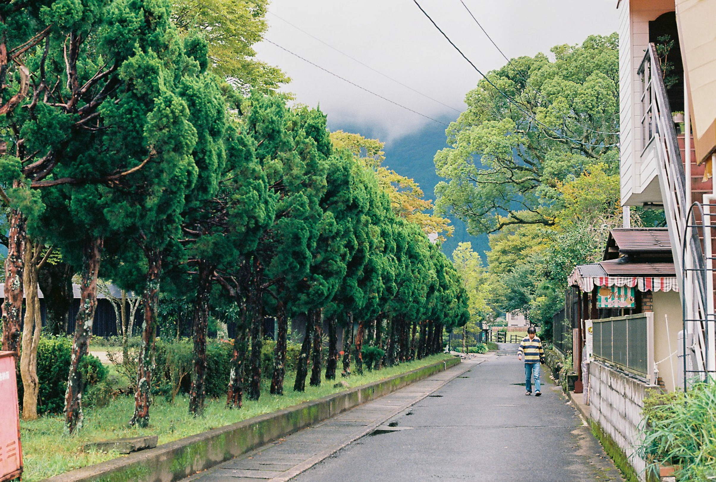 dong que Nhat Ban anh 13
