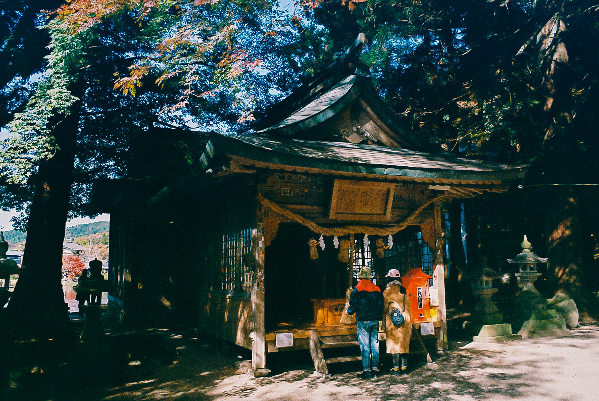 dong que Nhat Ban anh 15