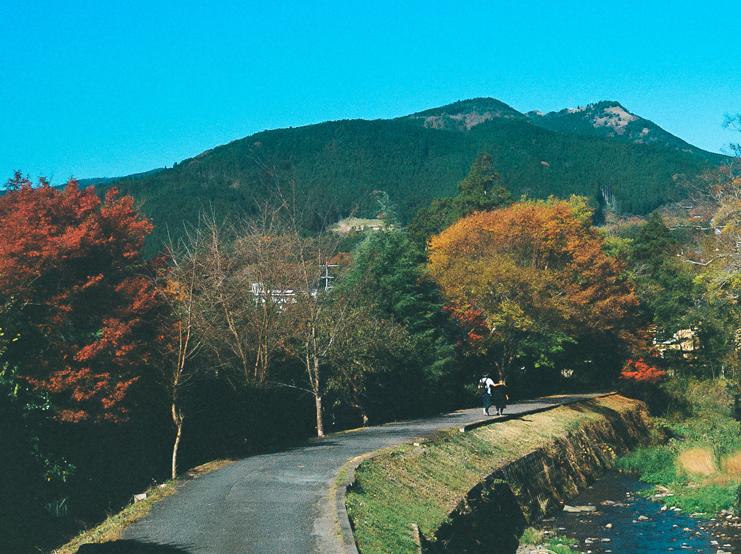 dong que Nhat Ban anh 16