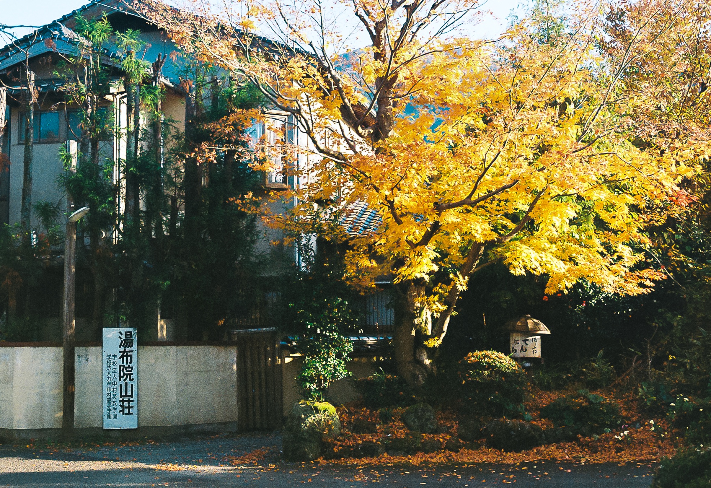 dong que Nhat Ban anh 17