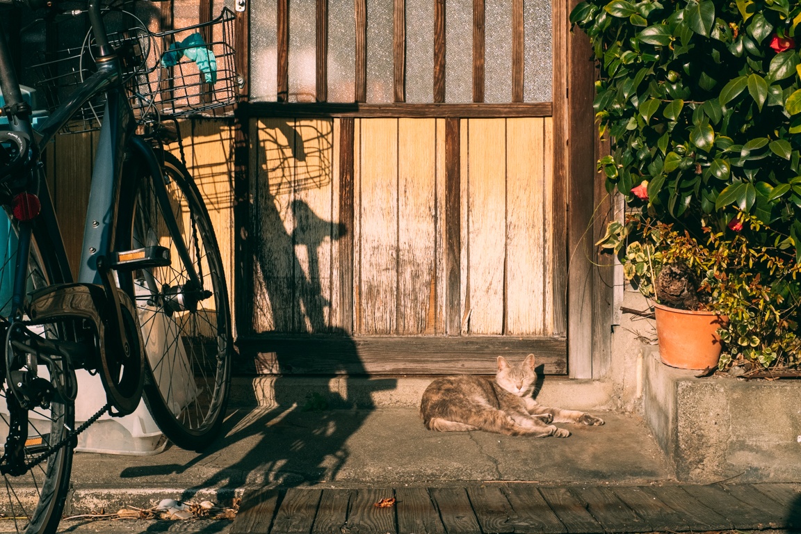 dong que Nhat Ban anh 24