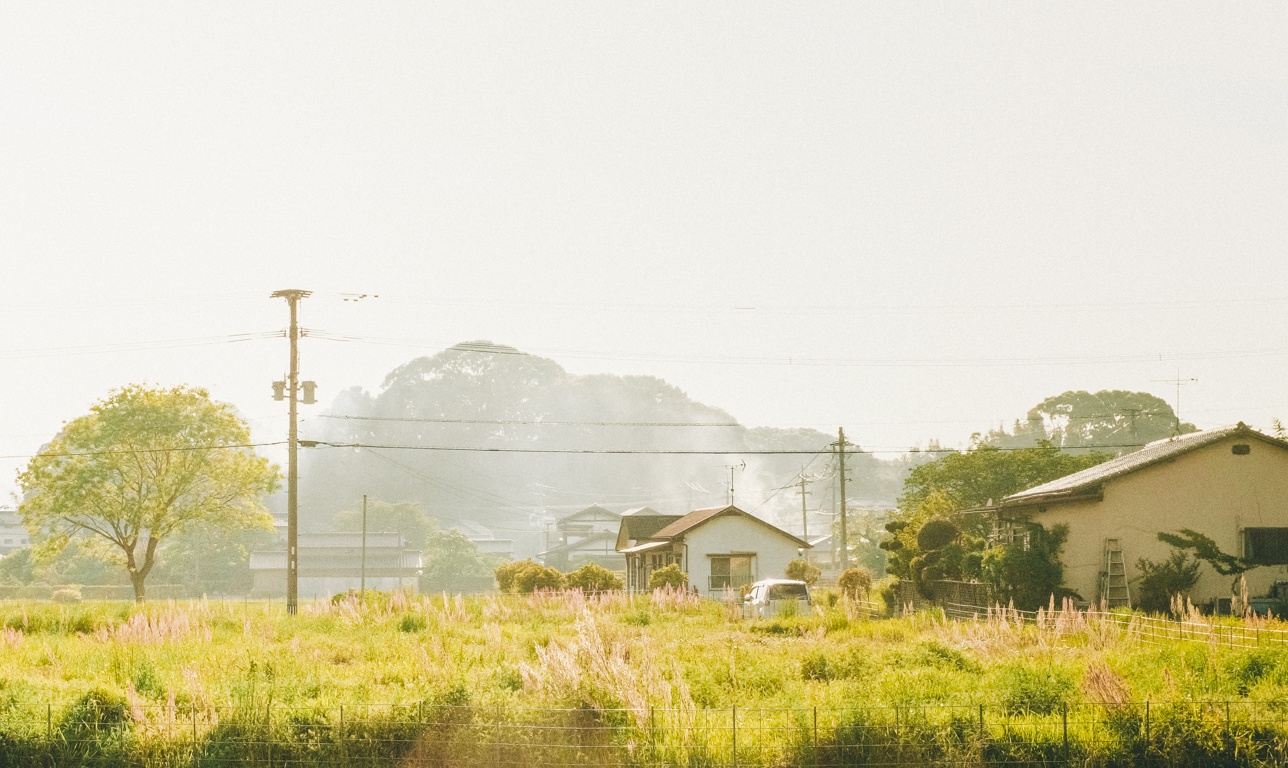 dong que Nhat Ban anh 9