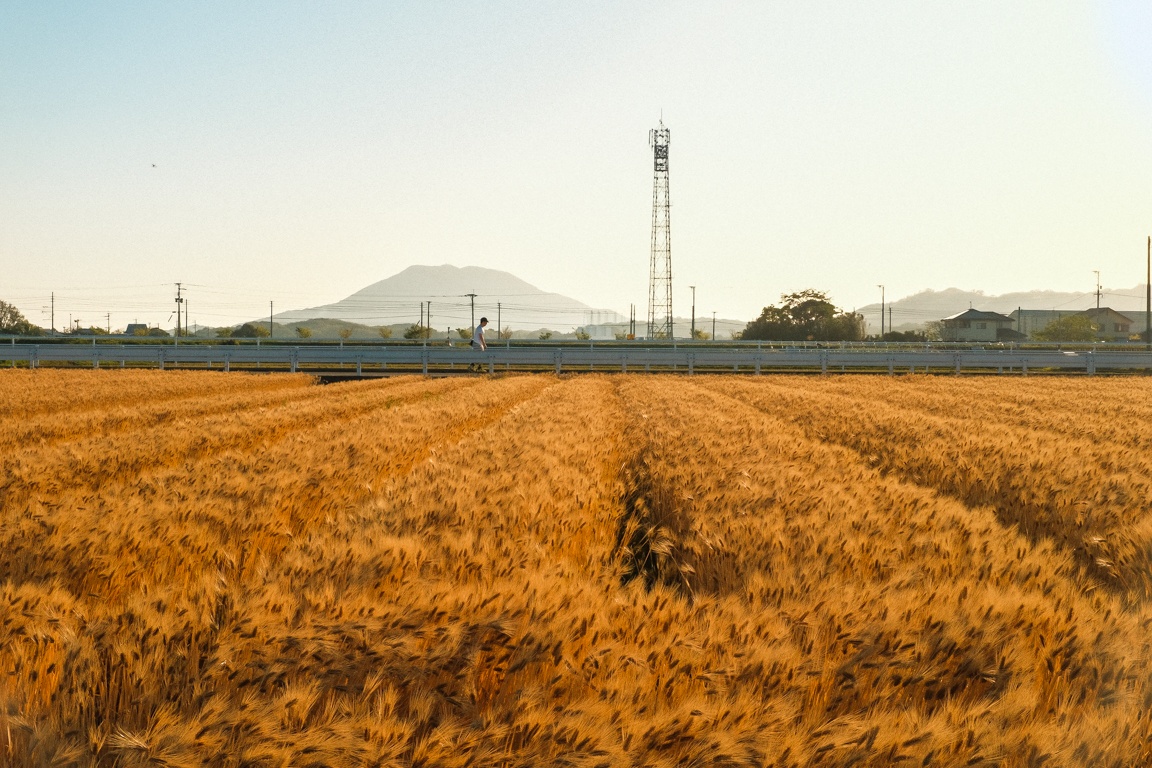 dong que Nhat Ban anh 4