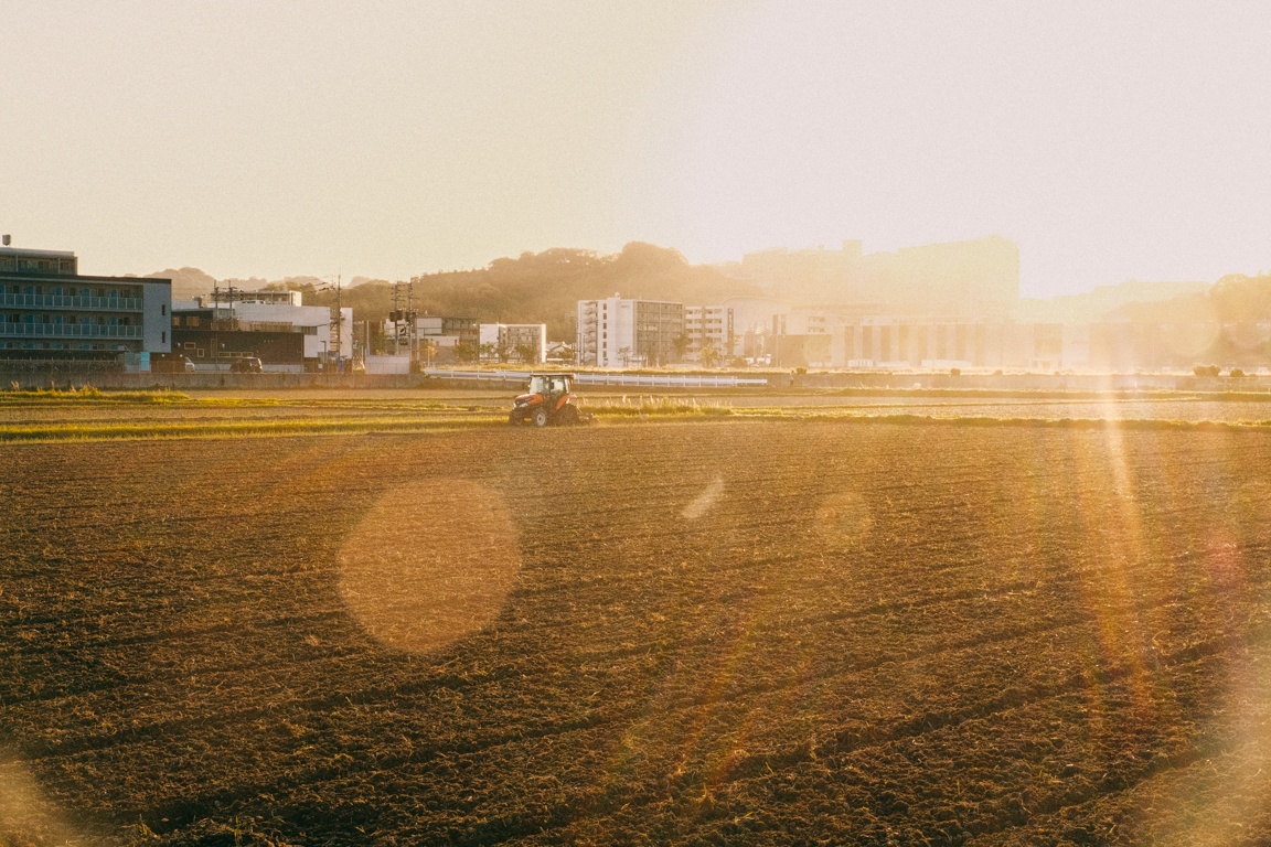 dong que Nhat Ban anh 7