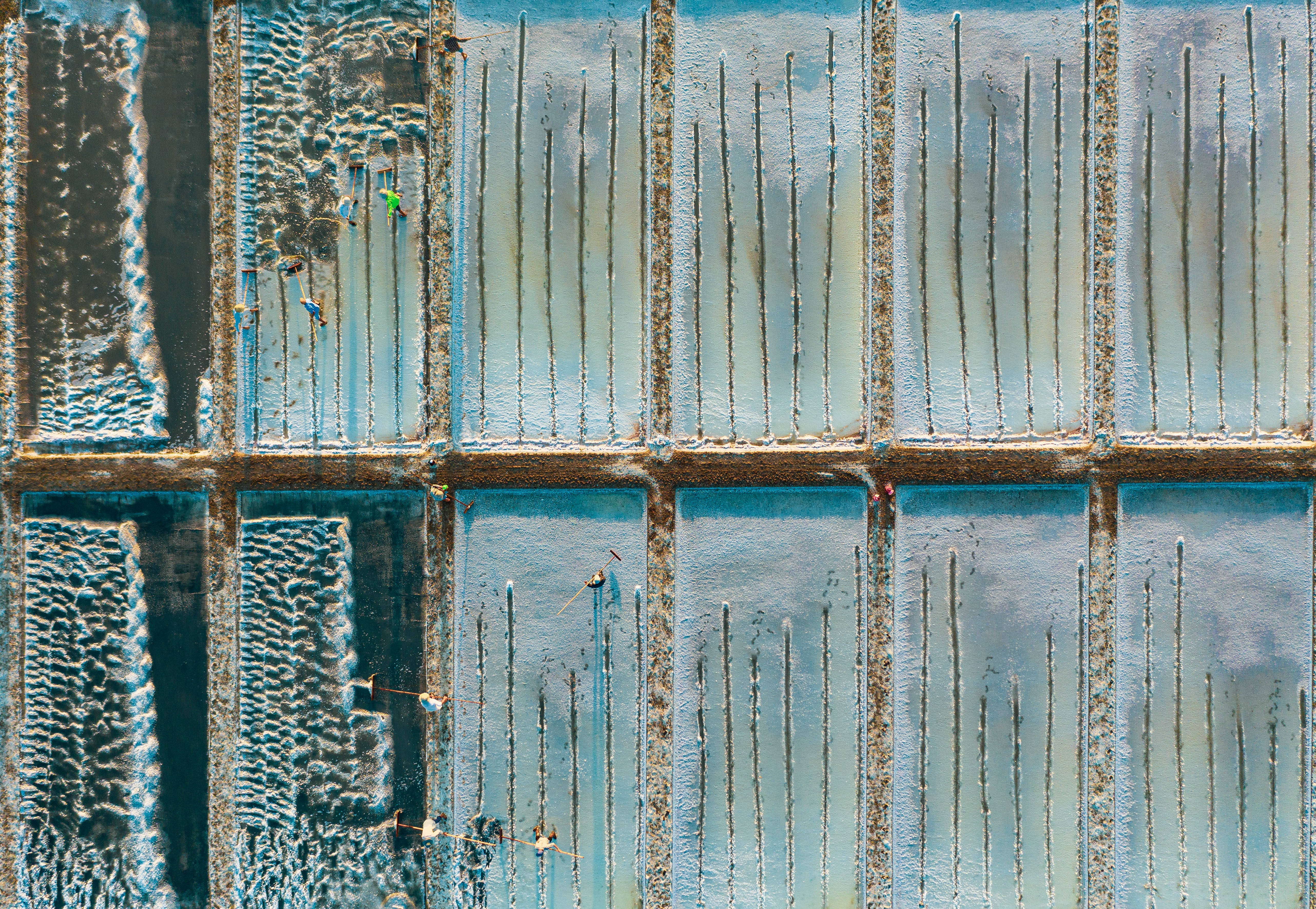 Dong muoi Long Dien anh 2