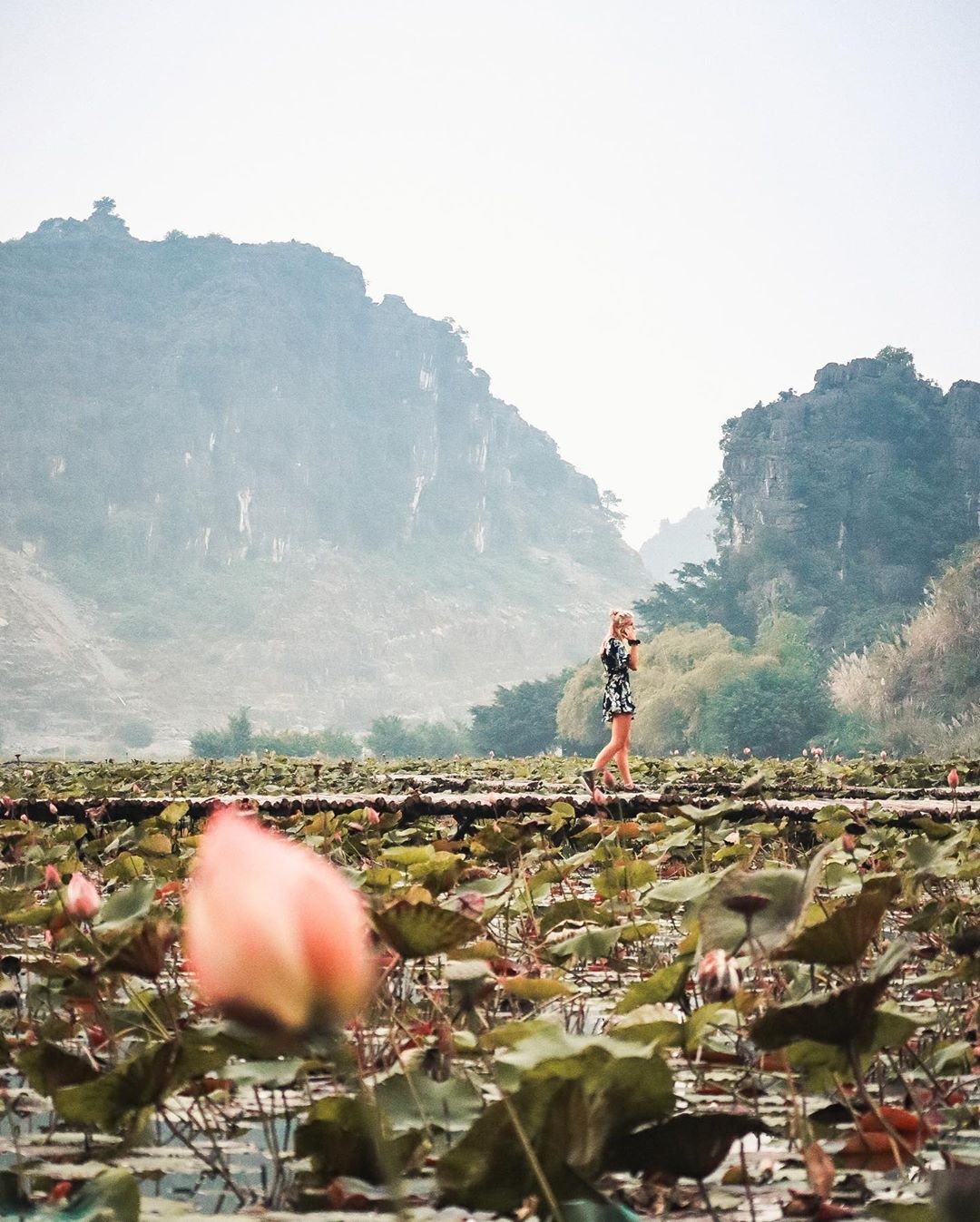 khách du lịch nước ngoài ảnh 5 khach du lich nuoc ngoai anh 5