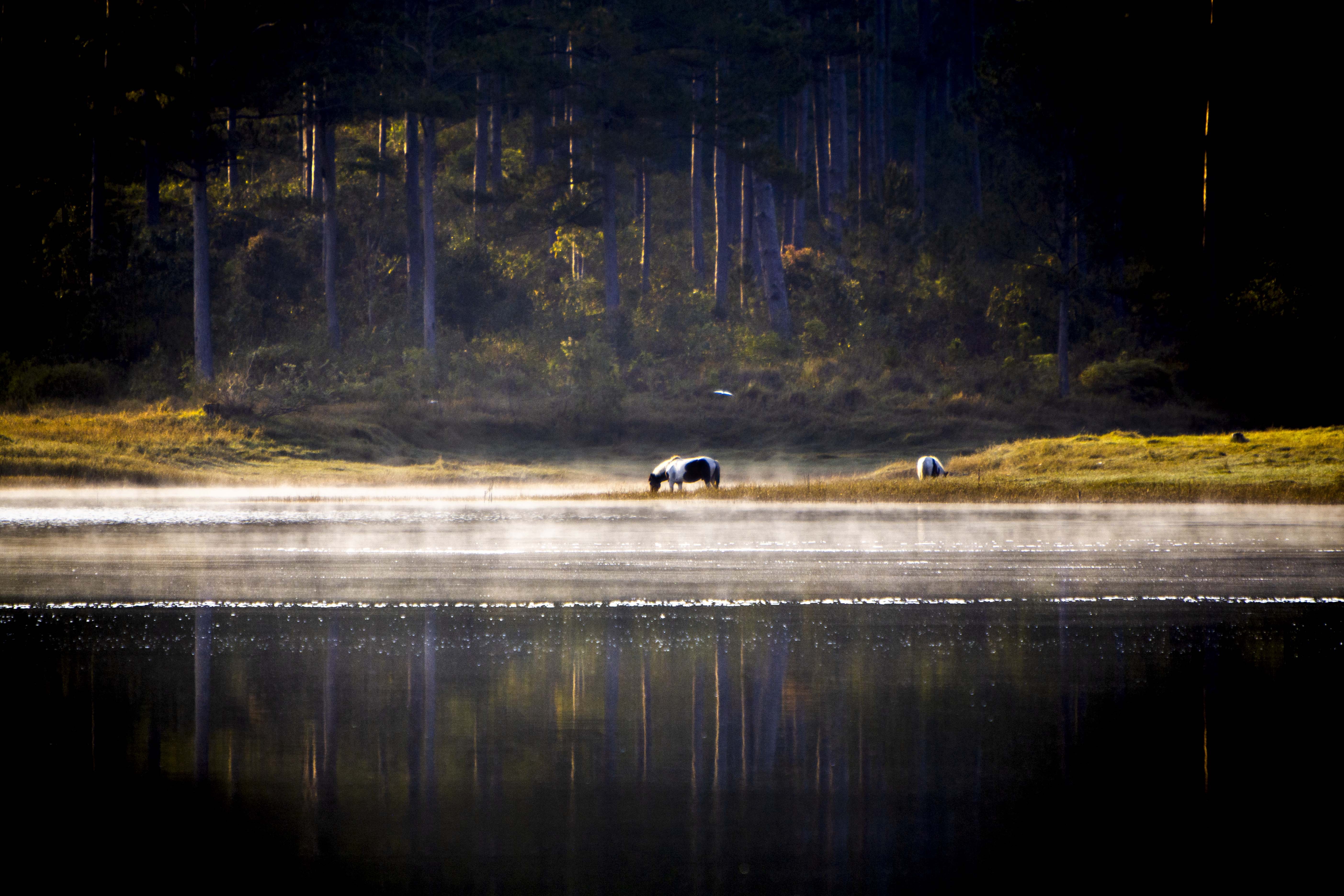 dia diem cheo kayak o Viet Nam anh 8