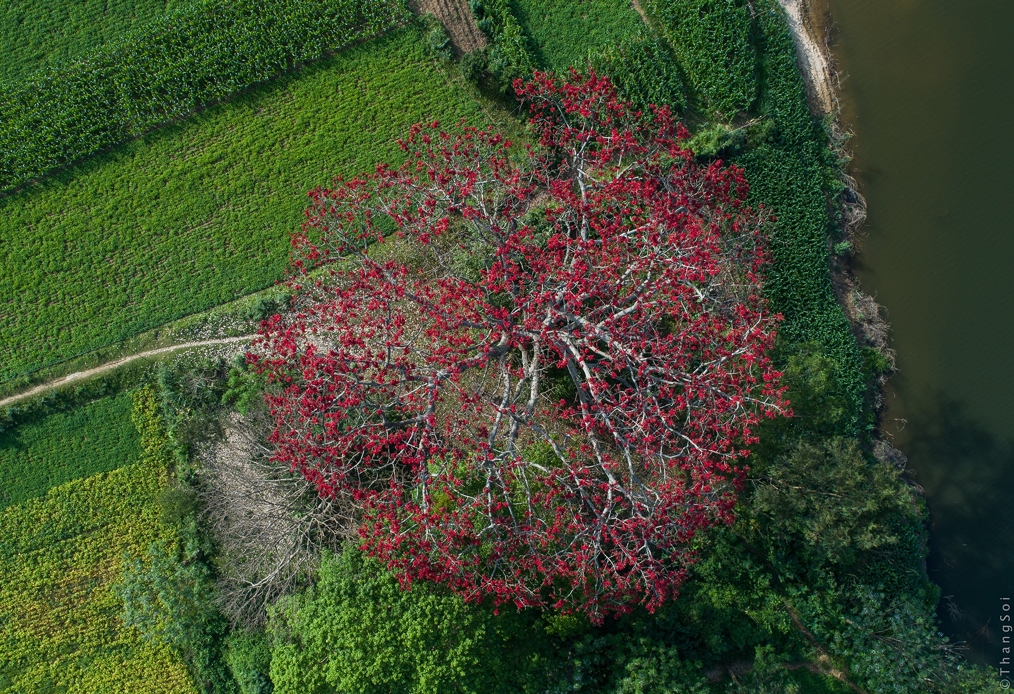 Việt Nam nhìn từ trên cao ảnh 30 Viet Nam nhin tu tren cao anh 30