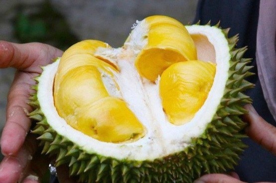 Quan ca phe chi phuc vu mon tu sau rieng hinh anh