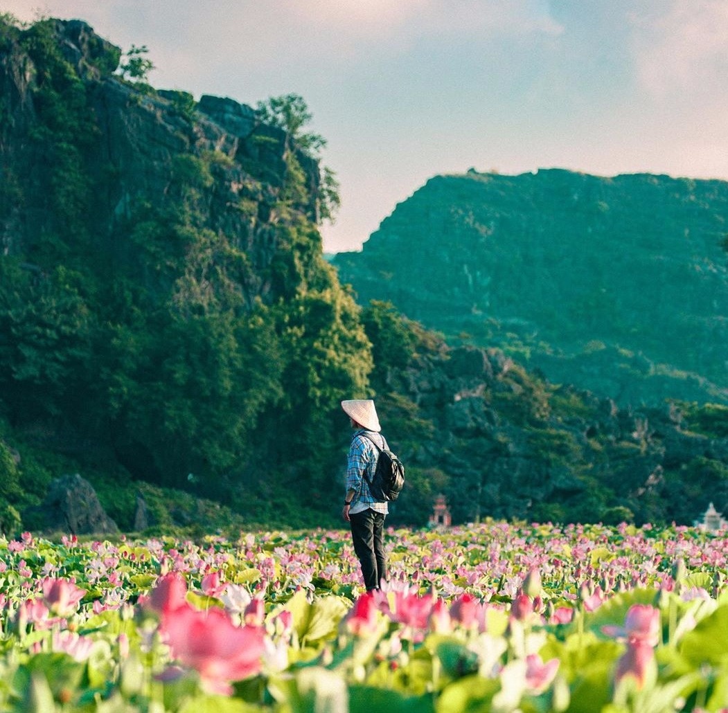 hang Múa Ninh Bình  ảnh 6 hang Mua Ninh Binh anh 6