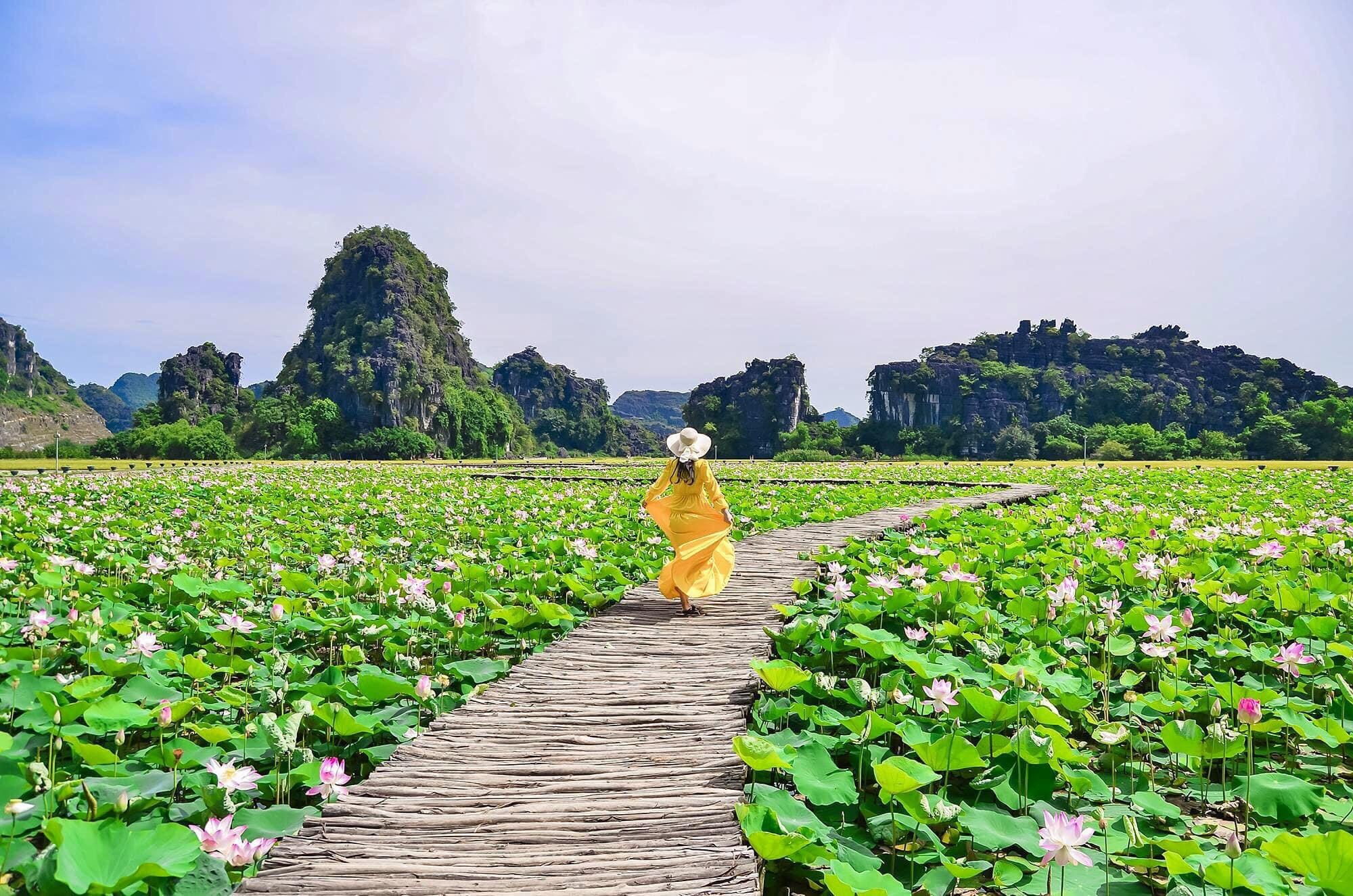 hang Múa Ninh Bình  ảnh 4 hang Mua Ninh Binh anh 4