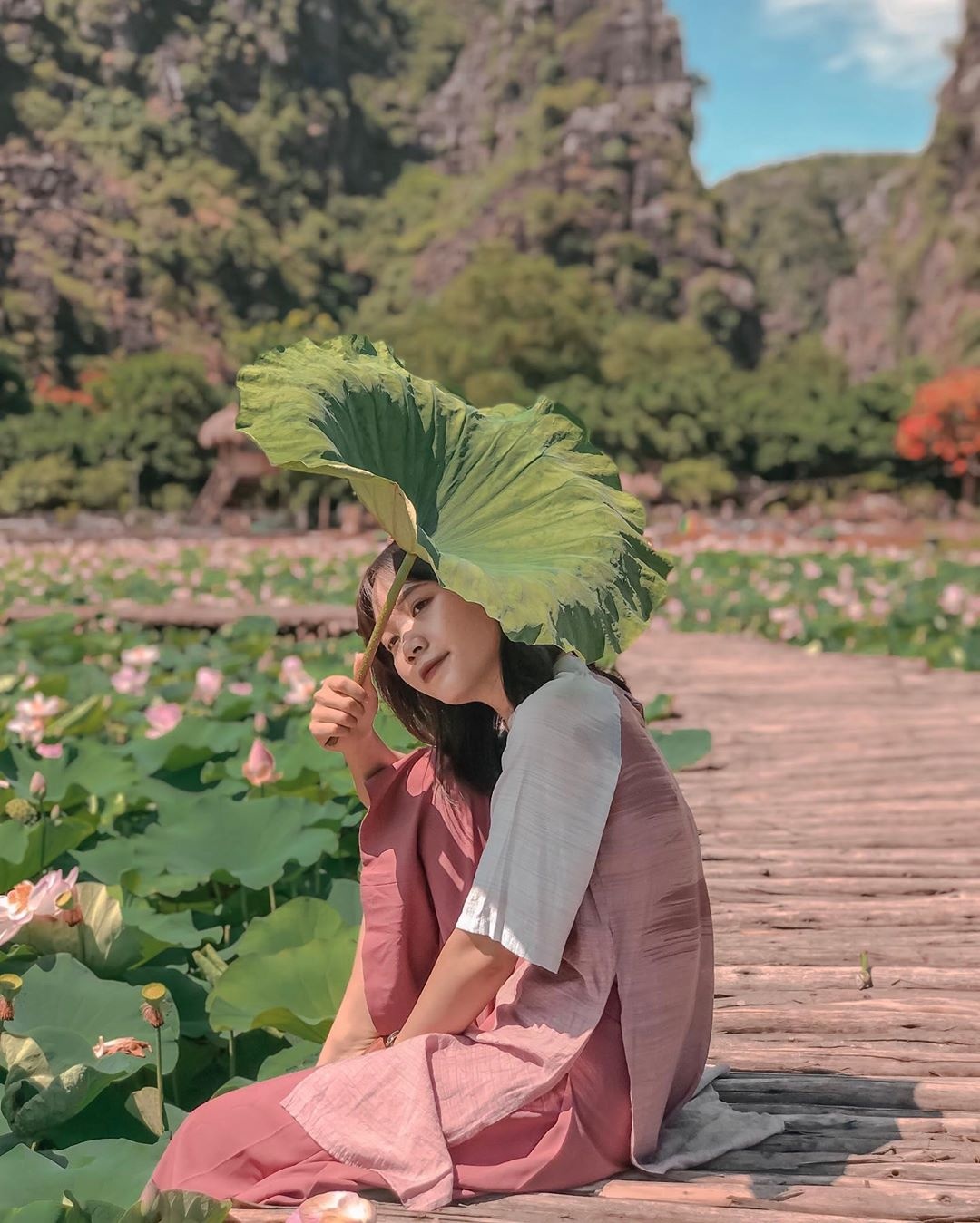 hang Múa Ninh Bình  ảnh 1 hang Mua Ninh Binh anh 1