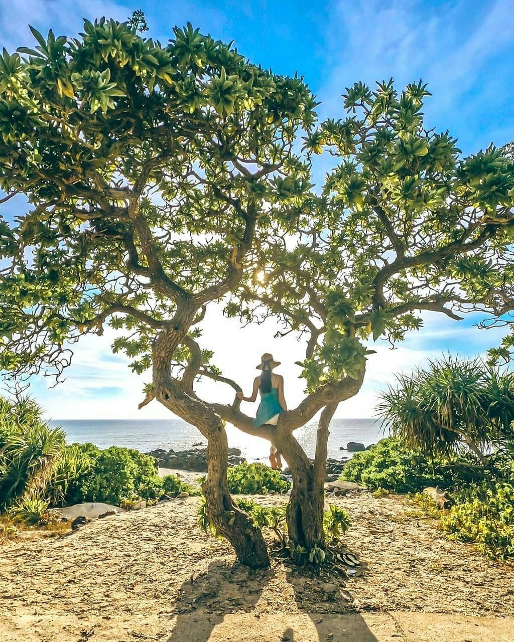 du lịch biển đảo ảnh 6 du lich bien dao anh 6