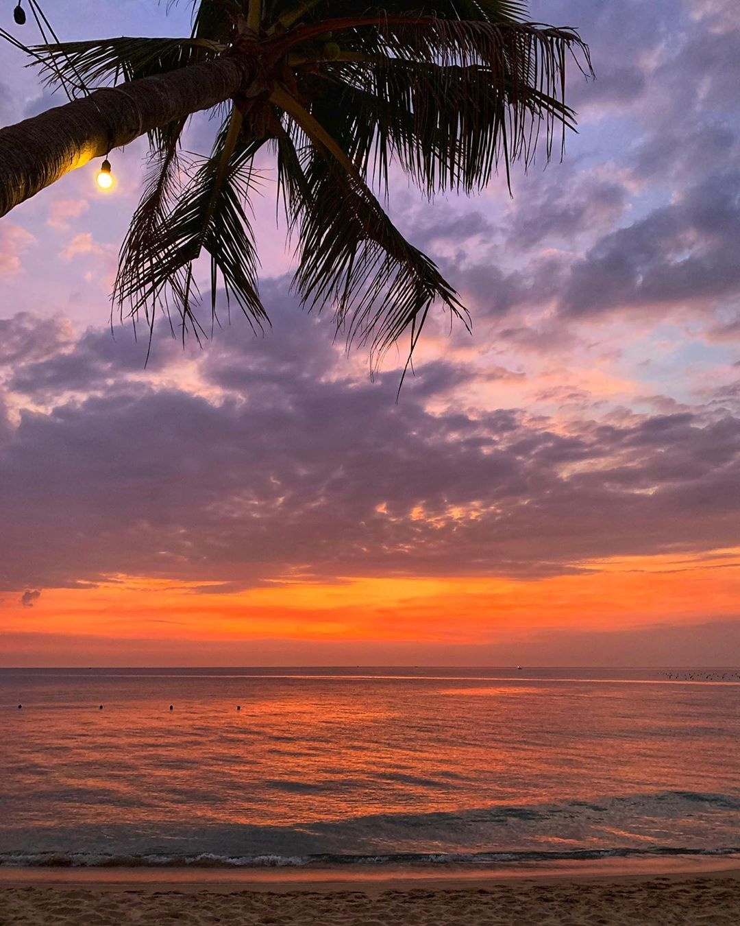 Phú Quốc ảnh 8 Phu Quoc anh 8