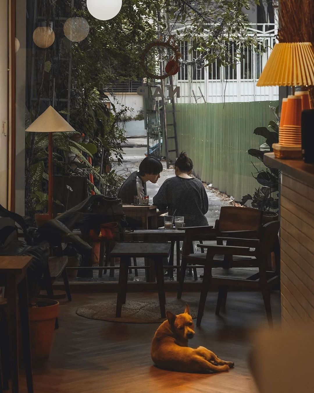 homestay TP.HCM ảnh 5 homestay TP.HCM anh 5