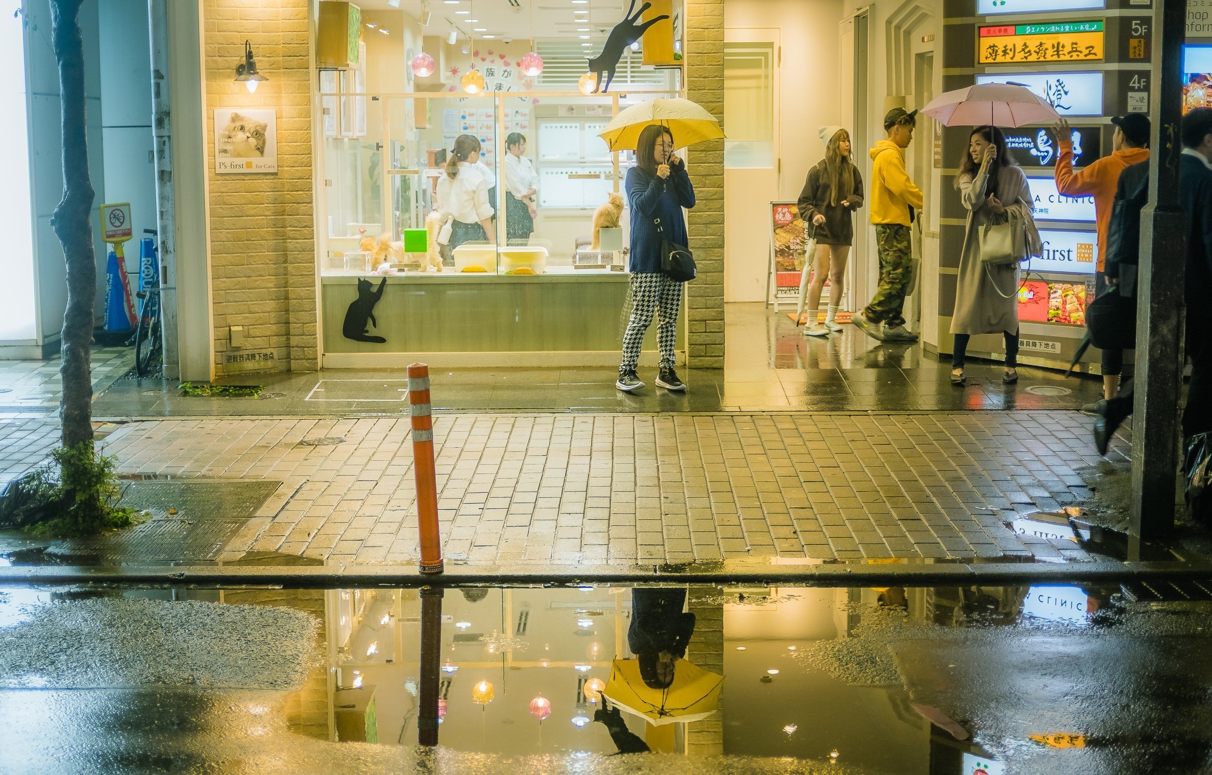 Nhat Ban mua mua anh 11