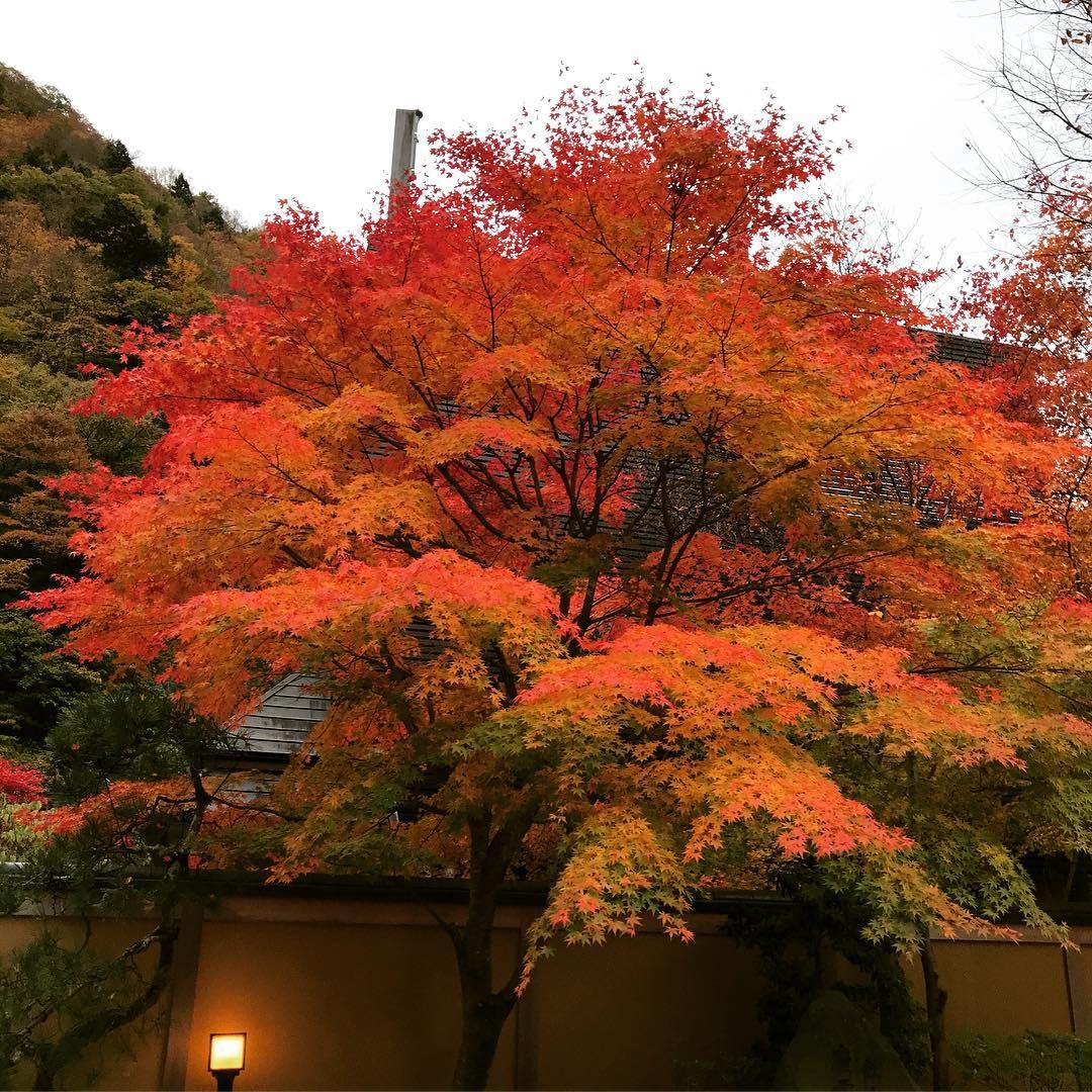 khách sạn cổ nhất thế giới ảnh 7 khach san co nhat the gioi anh 7