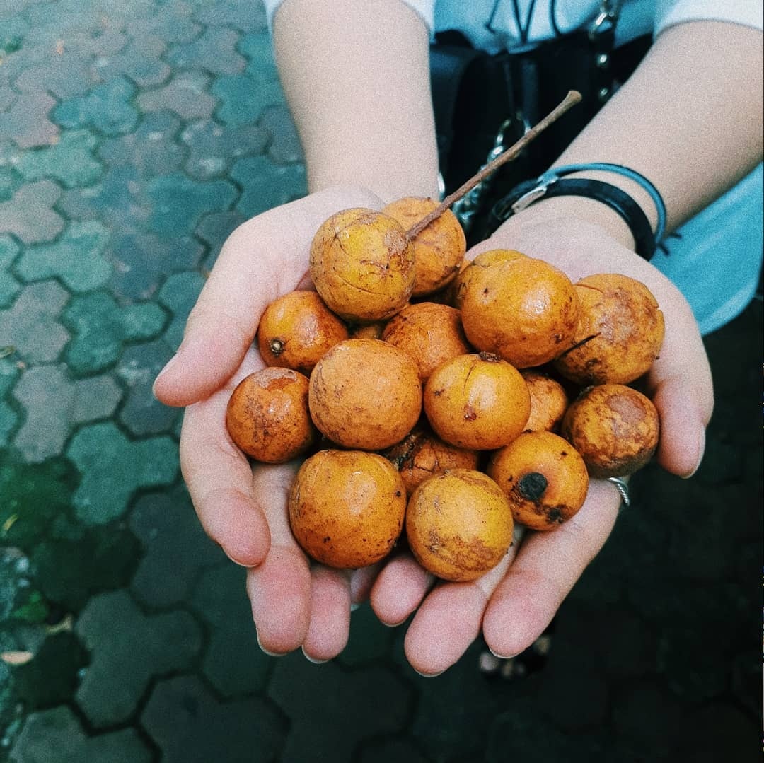món ăn mùa thu Hà Nội ảnh 3 mon an mua thu Ha Noi anh 3