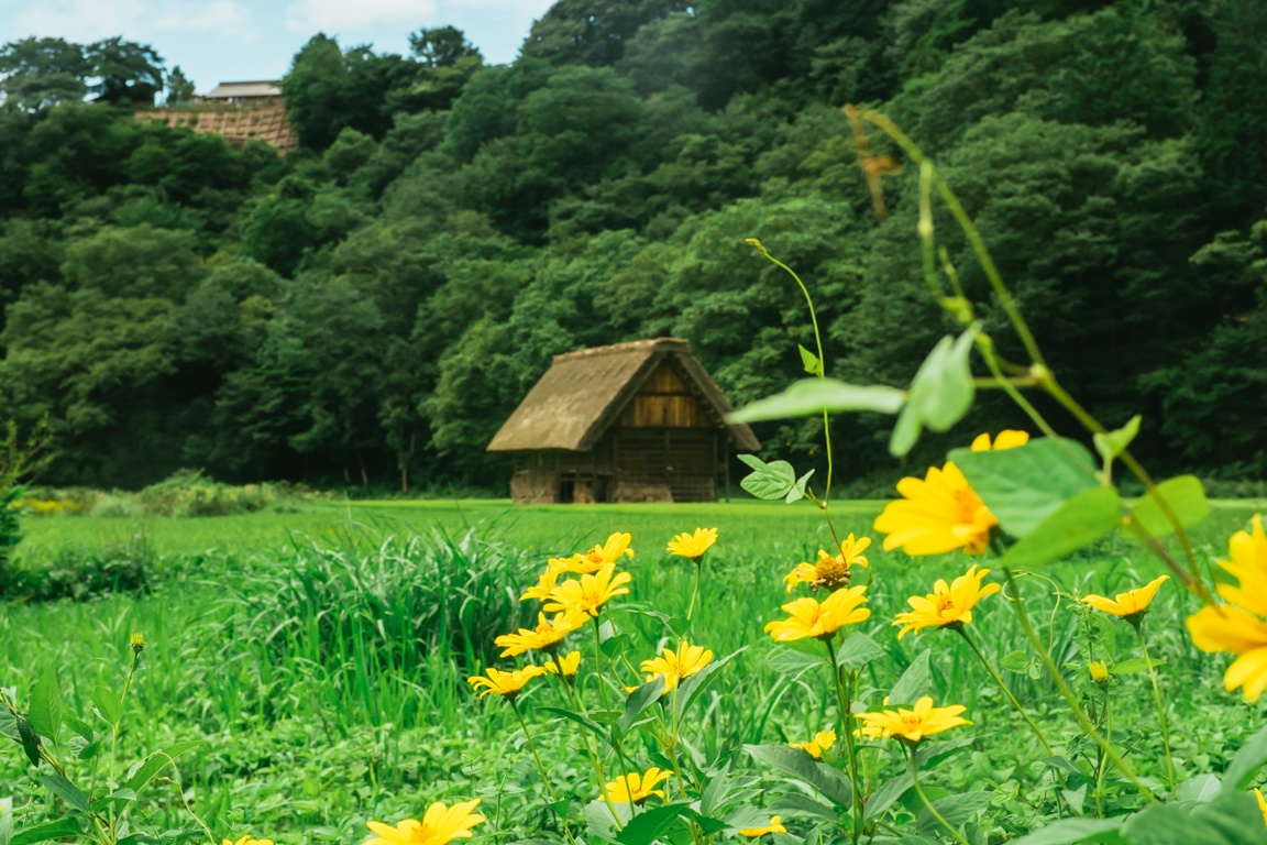 lang Shirakawa Nhat Ban anh 33
