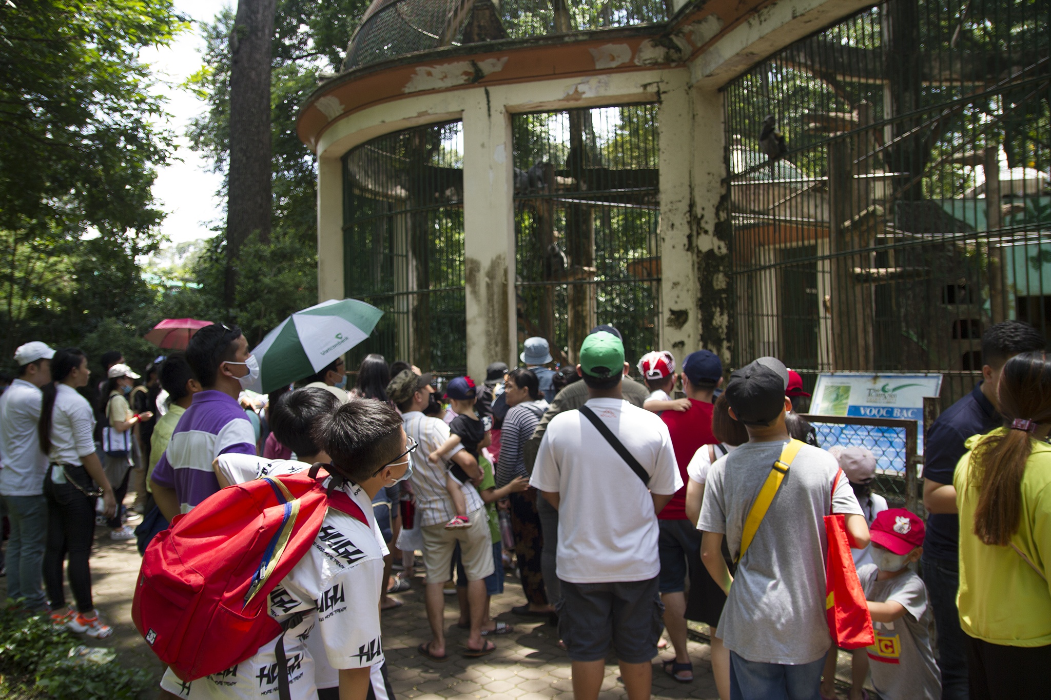 Thao Cam Vien 2/9 anh 1