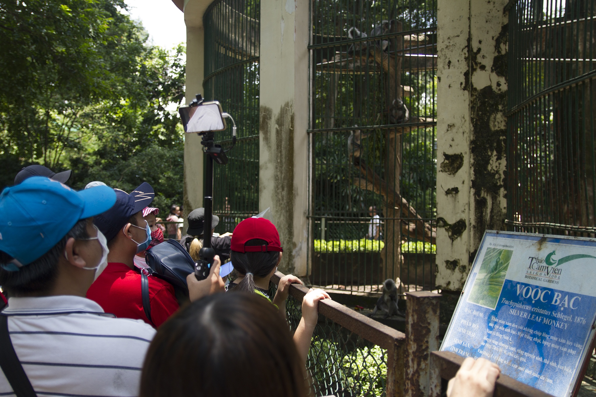 Dong nguoi do xo den Thao Cam Vien ngay 2/9 hinh anh