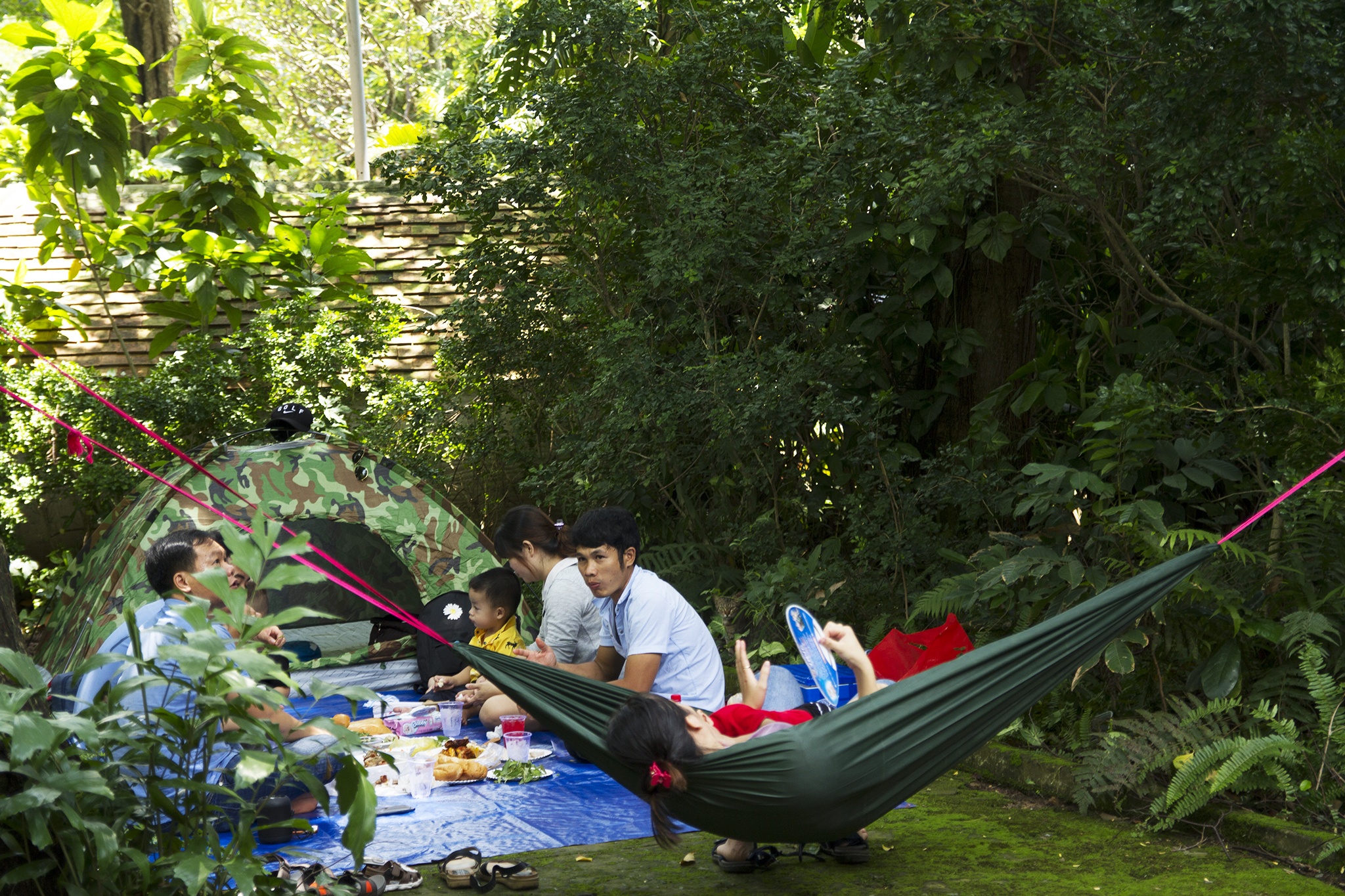 Thao Cam Vien 2/9 anh 5