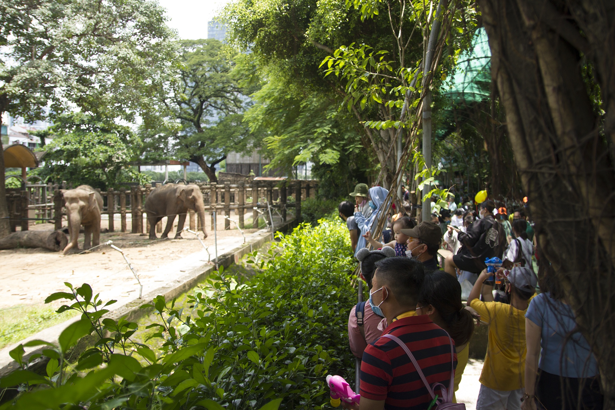 Thao Cam Vien 2/9 anh 2