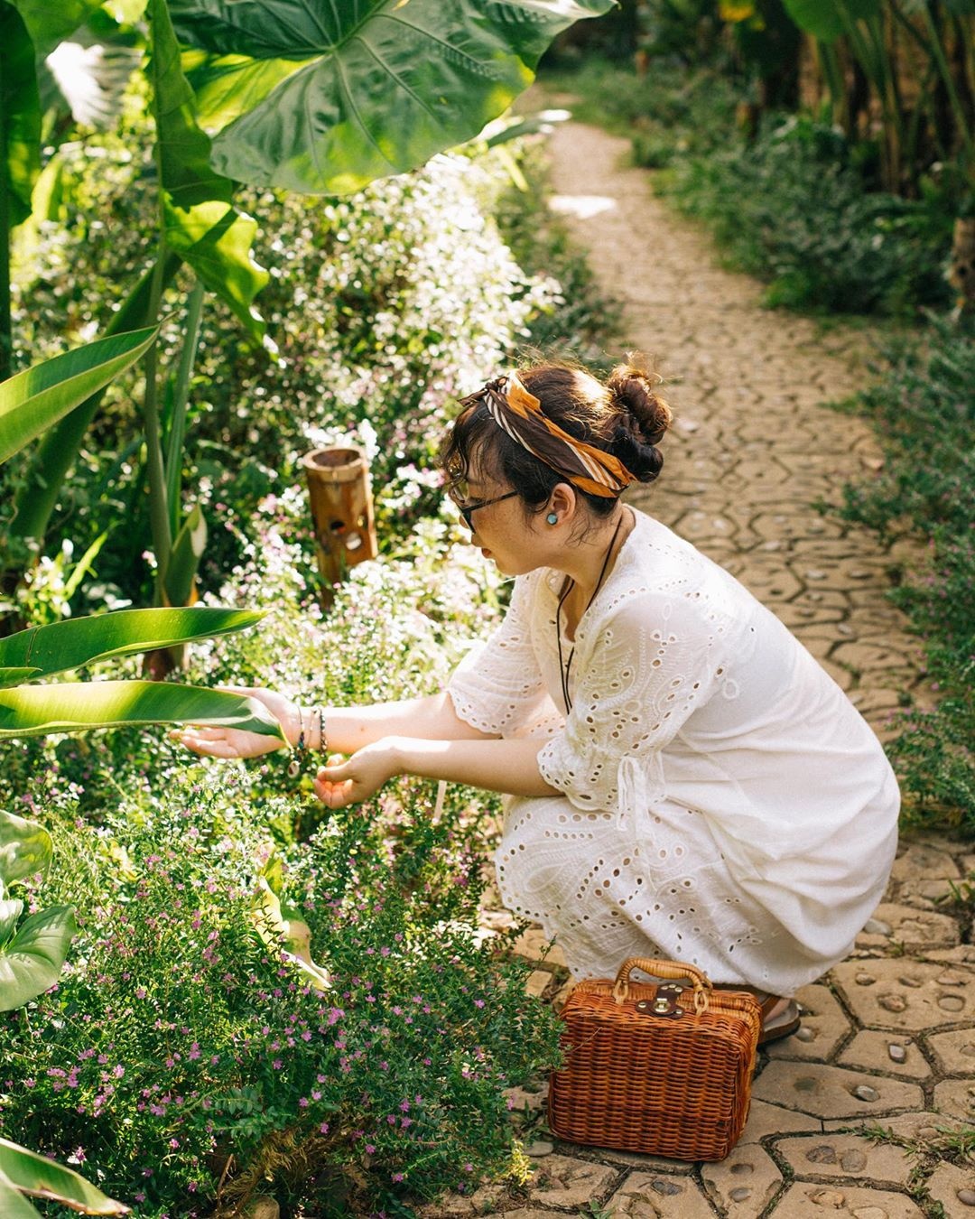 lua chin mien Bac anh 5