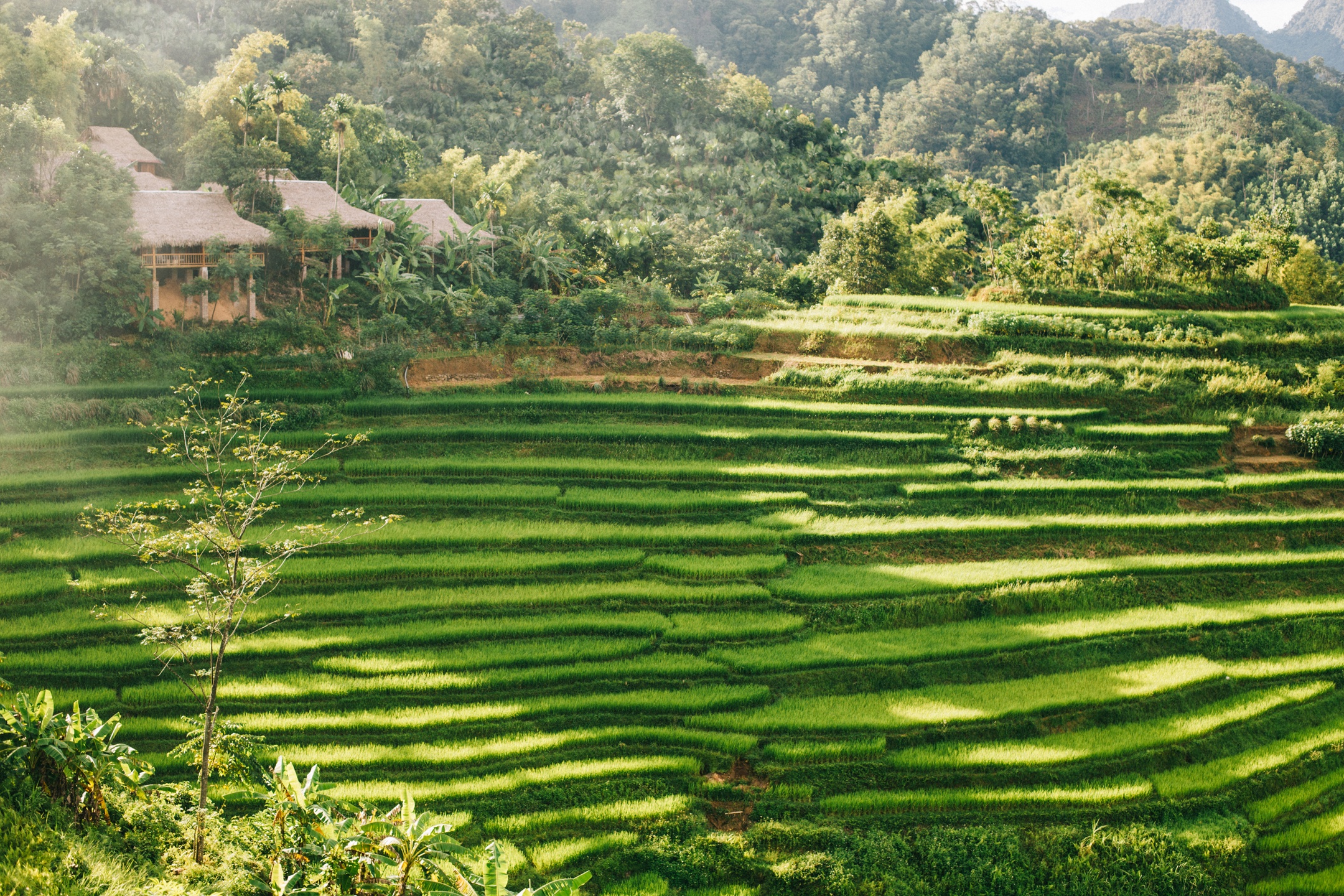 du lich Pu Luong anh 3