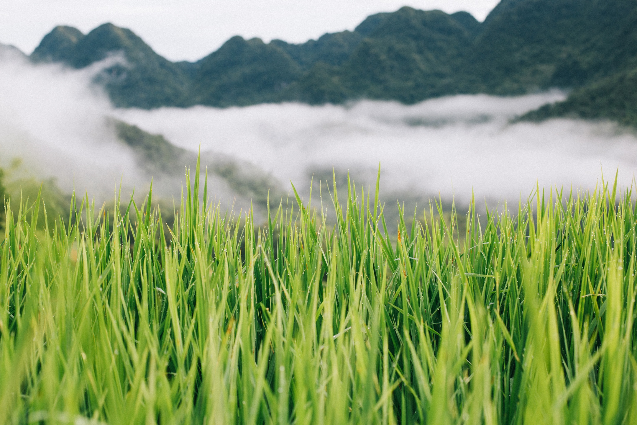 du lich Pu Luong anh 6