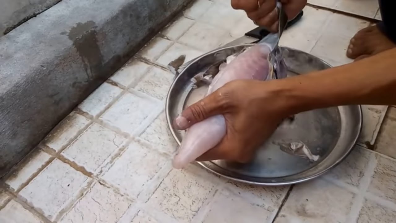 cá nóc ảnh 7 ca noc anh 7