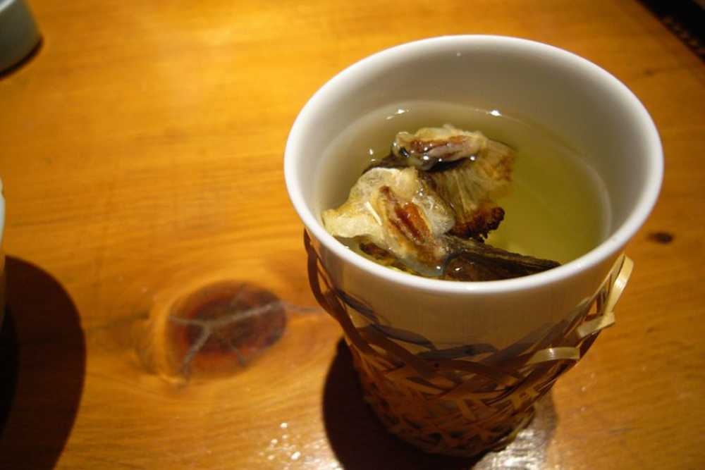 cá nóc ảnh 2 ca noc anh 2