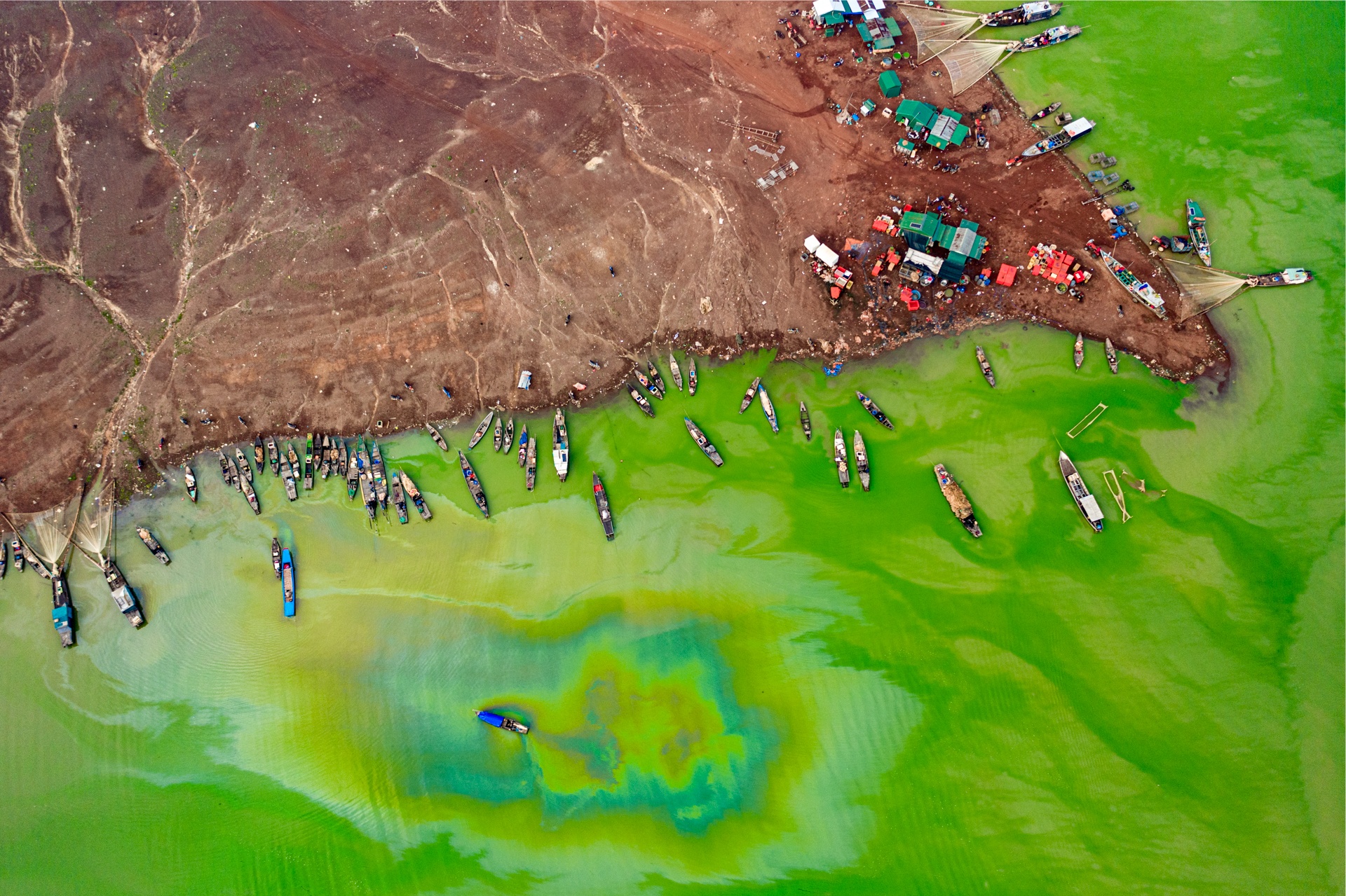 Mua tao xanh o ho Tri An hinh anh