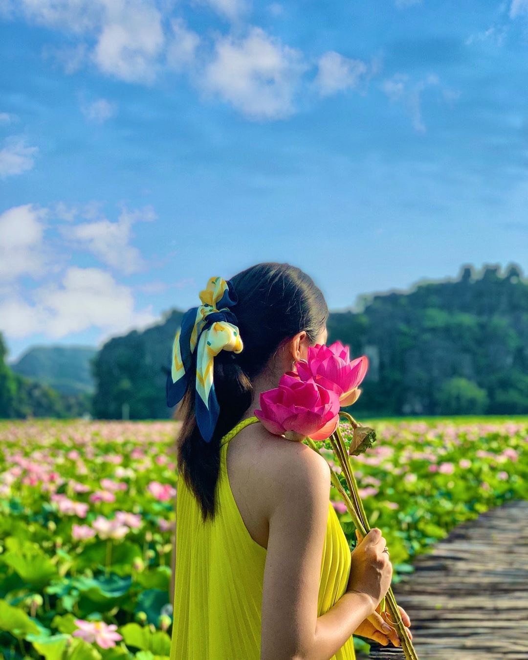 hồ sen nở rộ ở Hang Múa ảnh 4 ho sen no ro o Hang Mua anh 4
