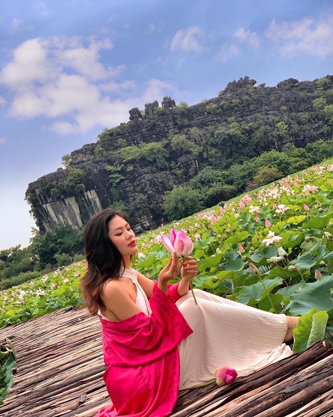 hồ sen nở rộ ở Hang Múa ảnh 5 ho sen no ro o Hang Mua anh 5