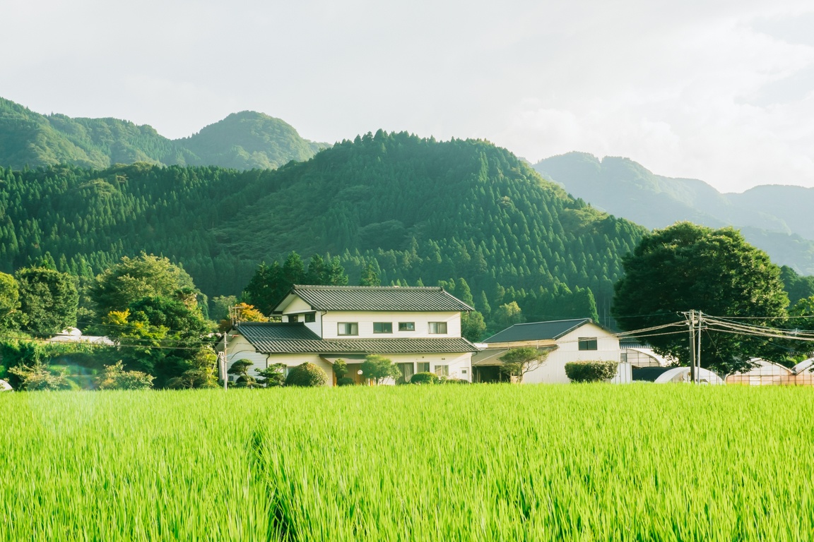 du lich Nhat Ban anh 17