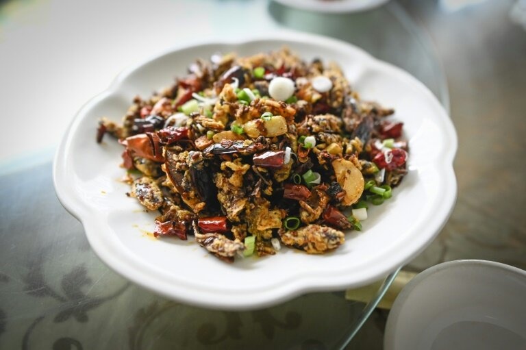 trang trại gián  ảnh 2 trang trai gian anh 2