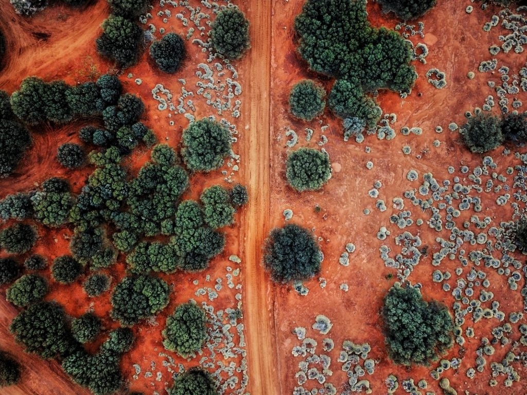 10 diem den hap dan nhat hanh tinh hinh anh