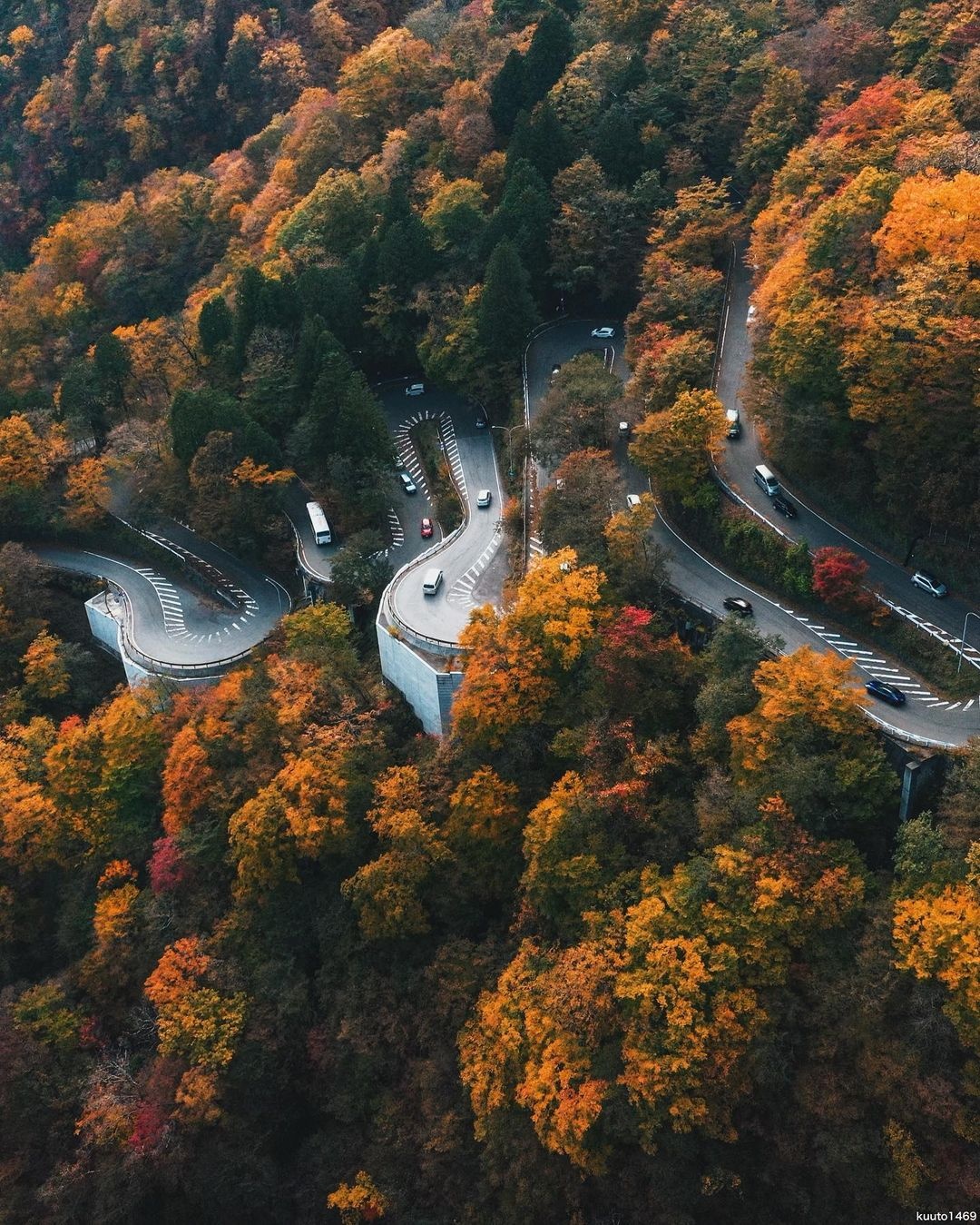 Nhật Bản ảnh 3 Nhat Ban anh 3