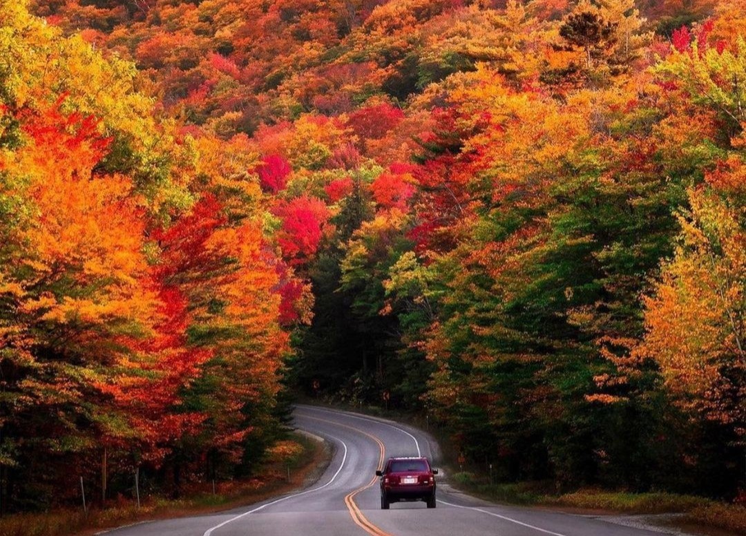 Cung duong cao toc phu kin rung cay la do o My hinh anh