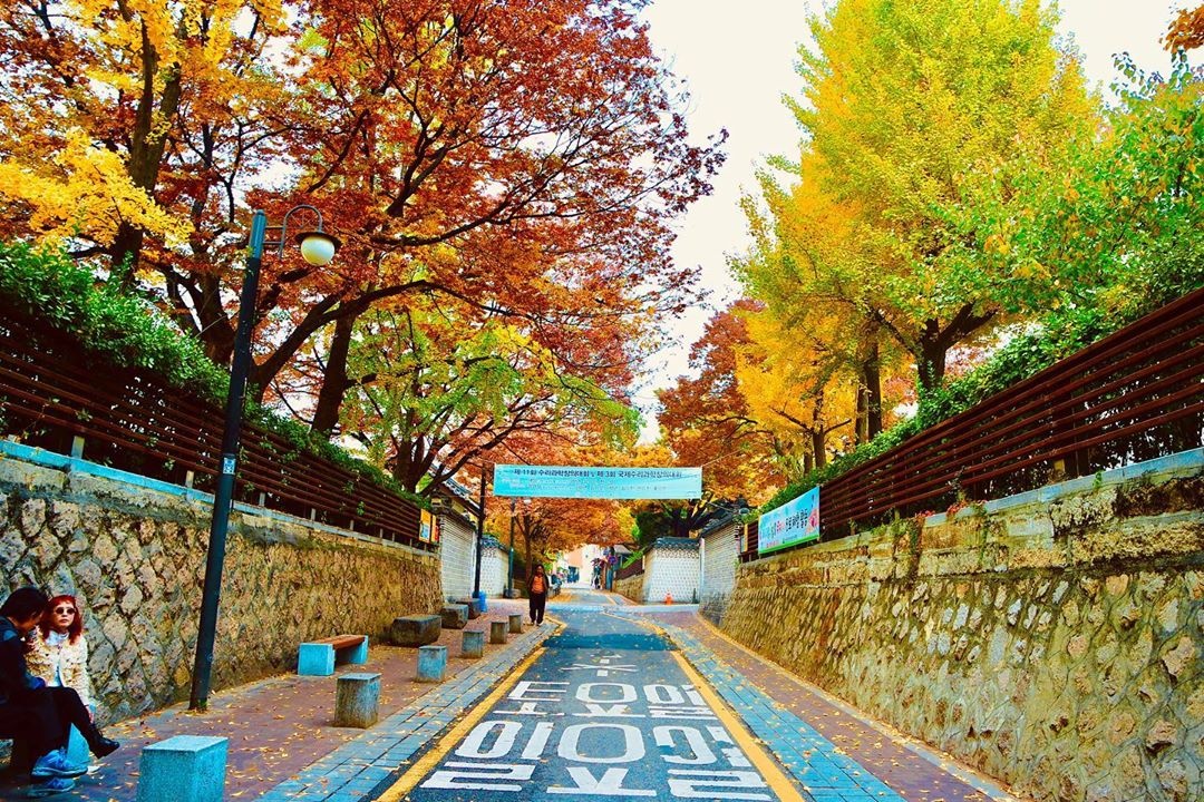 mùa thu Hàn Quốc ảnh 5 mua thu Han Quoc anh 5