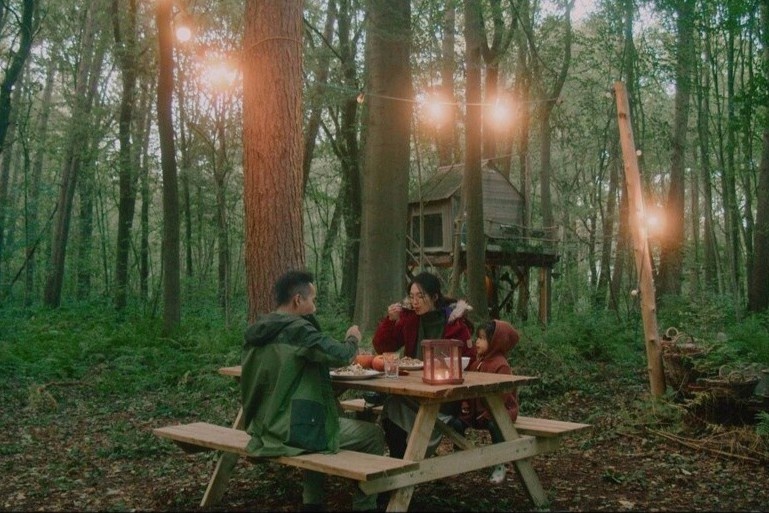 Cam trai trong rung gia tach biet the gioi hien dai hinh anh