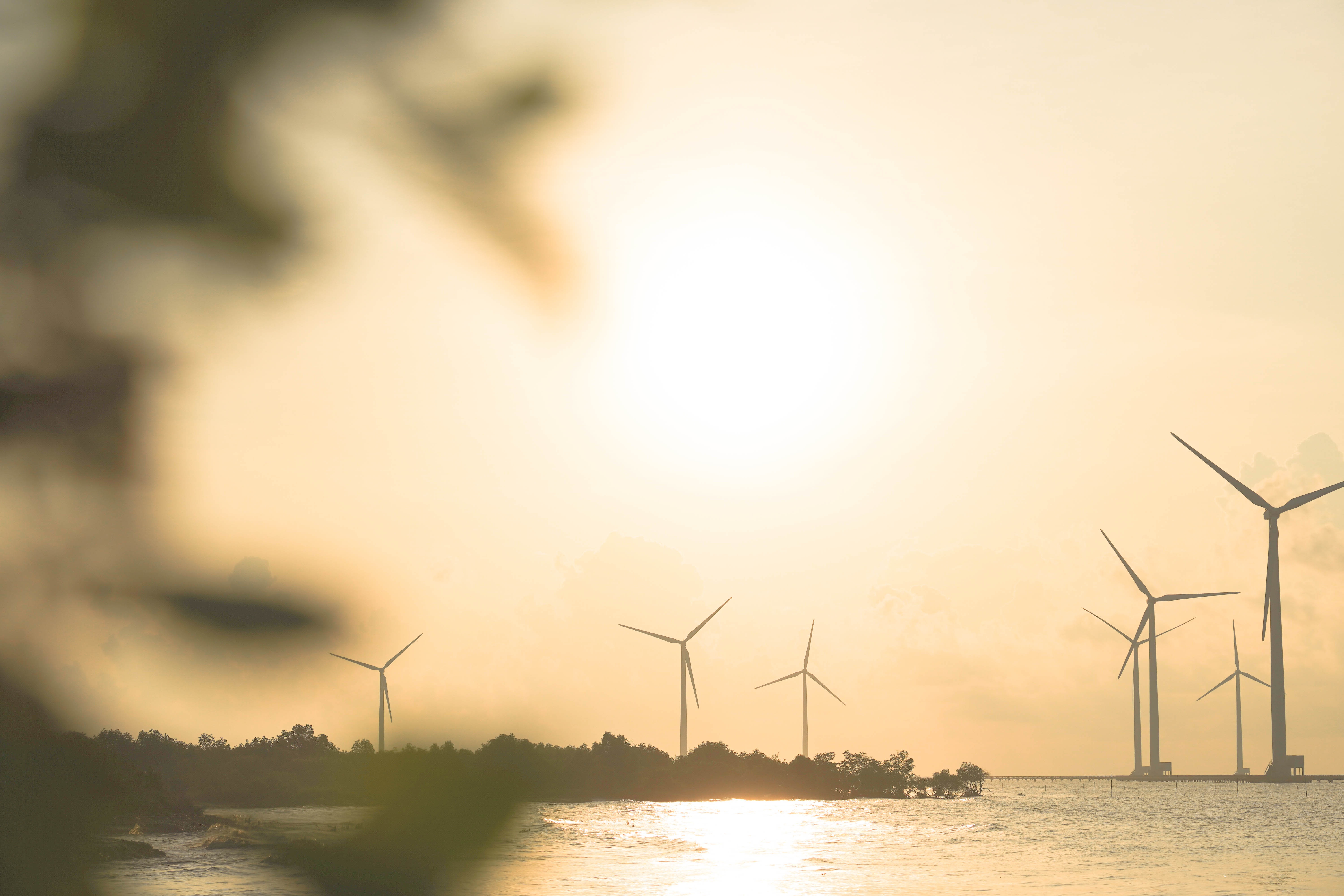 check-in Bac Lieu anh 6