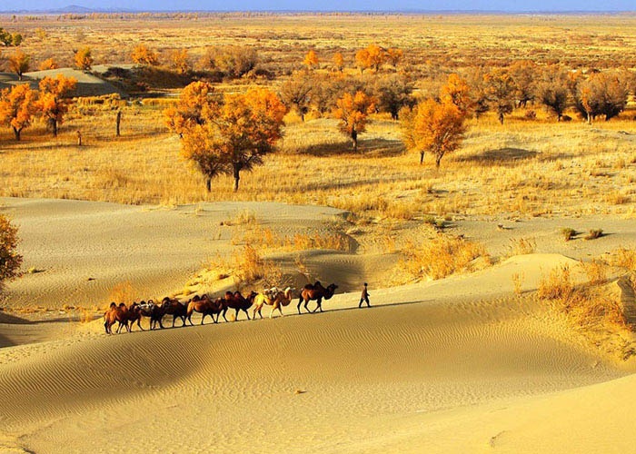 Sa mac lon nhat Trung Quoc nhin tu tren cao hinh anh