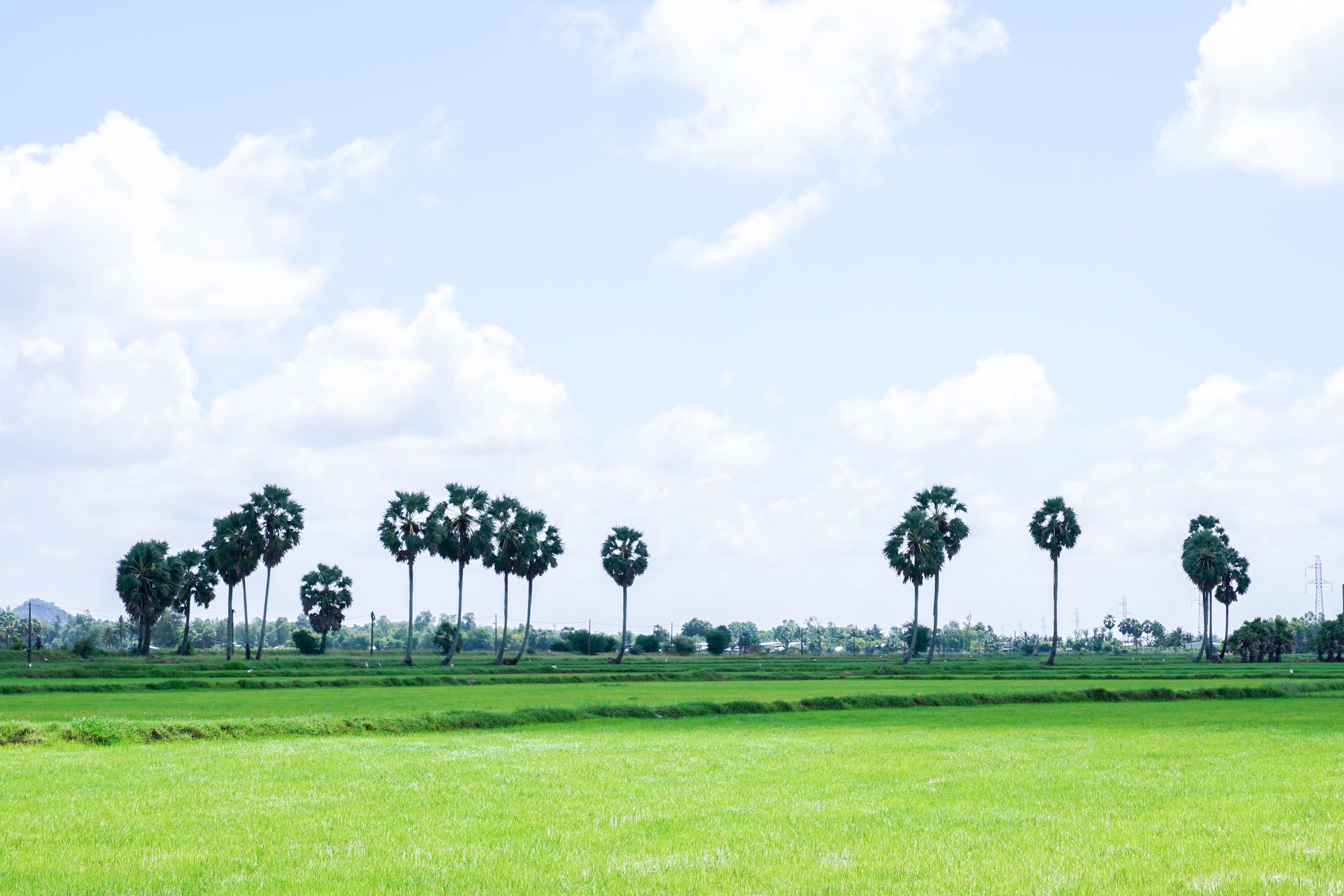 2 ngay kham pha Can Tho - An Giang hinh anh